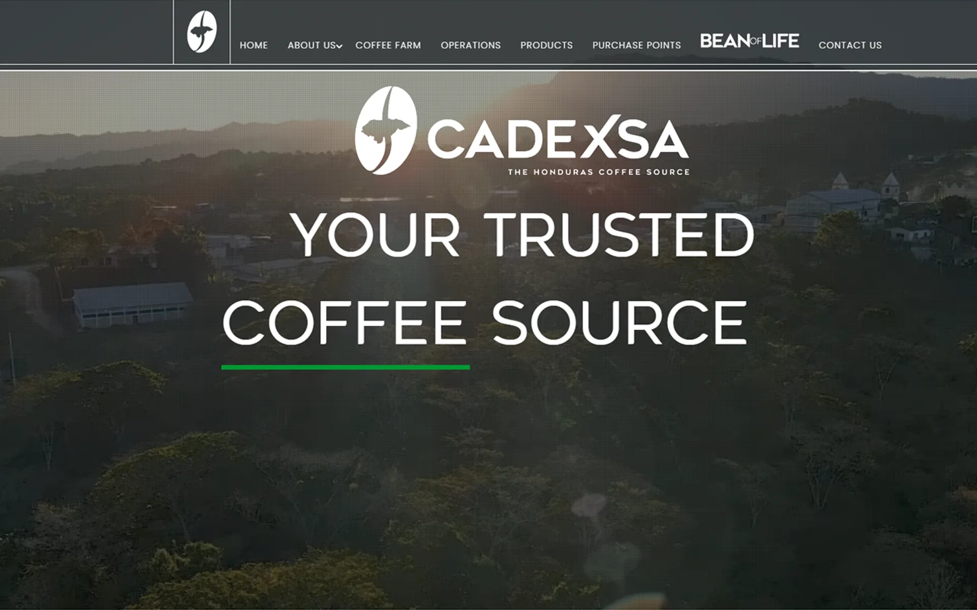 Sitio web desarrollado para Cadexsa