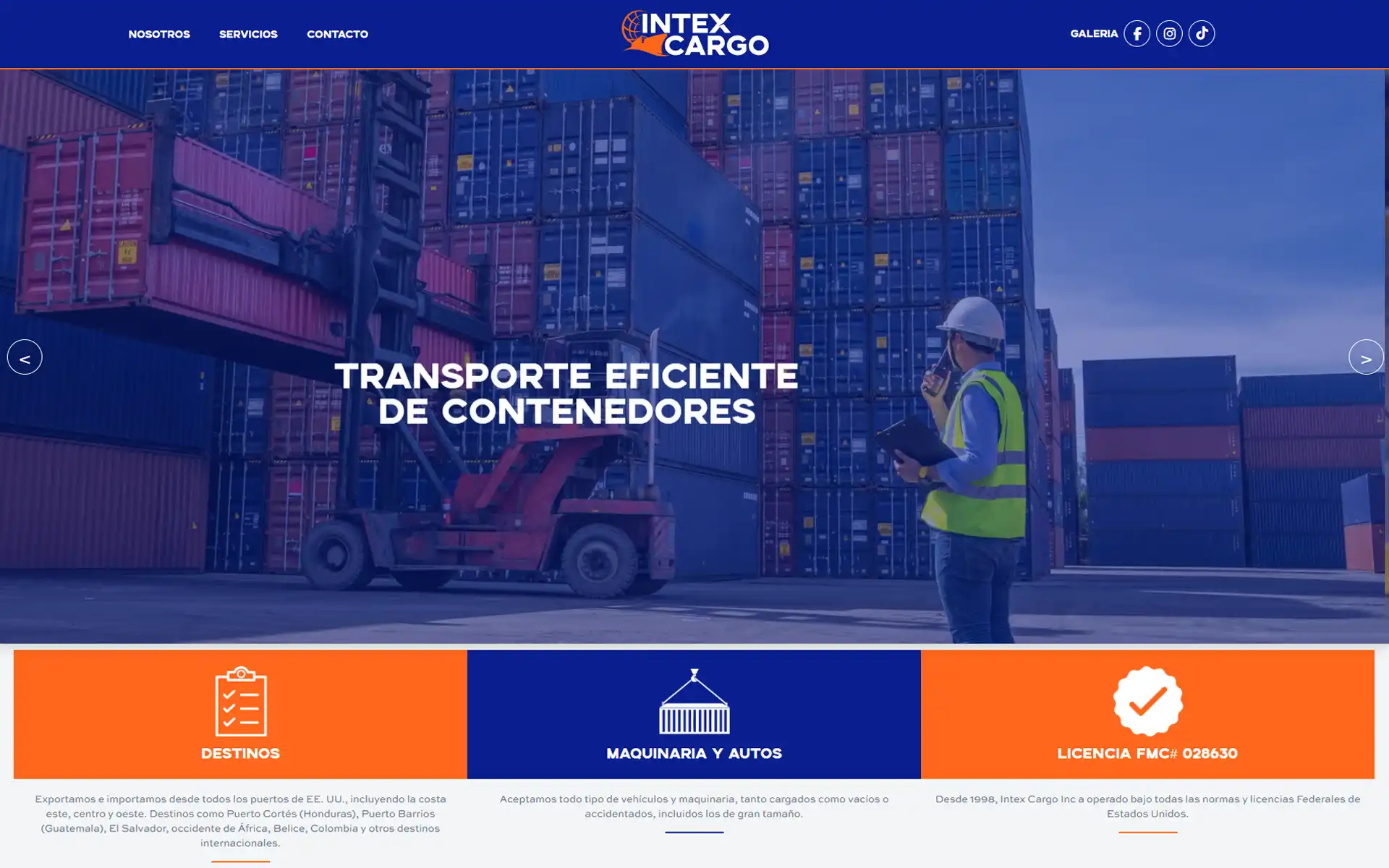 Sitio web desarrollado para Intex Cargo
